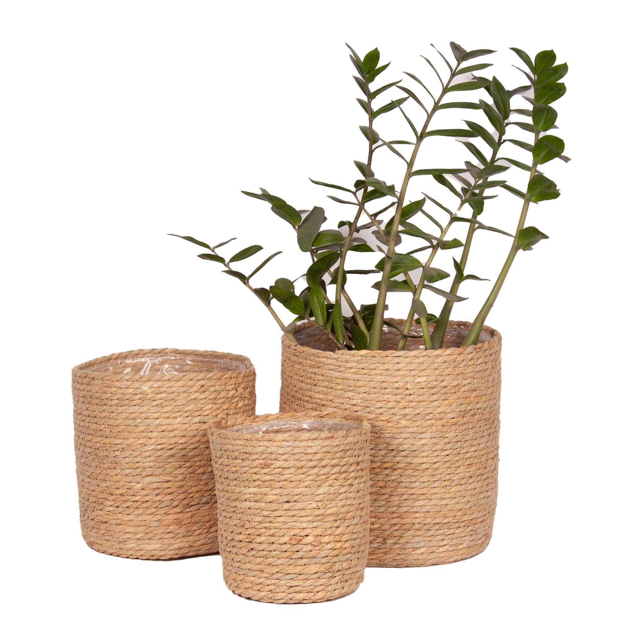 Roseau Trio – Woven Cattail Planters, Set of 3