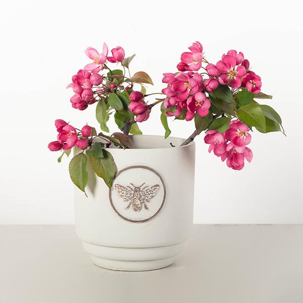 Miel Bee Pot – Embossed Cement Planter